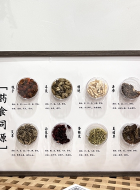 药食同源中成药标本相框画中医馆药学生展馆展示板手工挂画装饰画