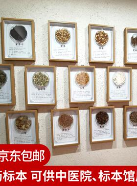 中医文创标本展示材标本装饰画中草药标本相框中医标本墙