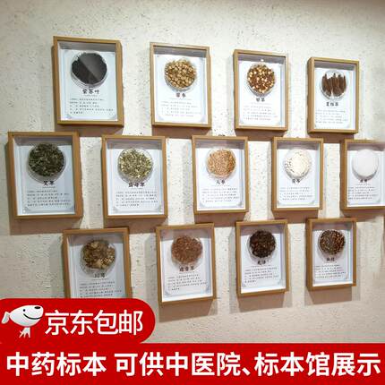 中医文创标本展示材标本装饰画中草药标本相框中医标本墙