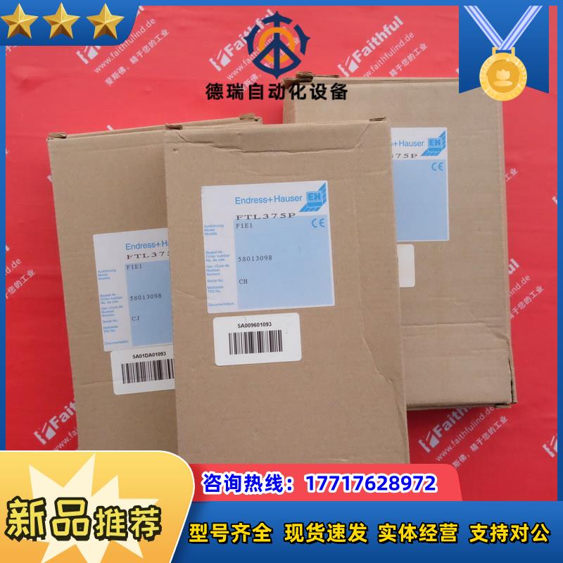 E+H FTL375P-F1E1 恩德斯豪斯全新液位检测 nivotseter FTL 议价