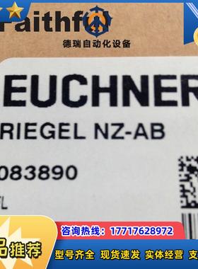 E 083890 安士能全新安全开关门闩 RIEL NZ-AB NZ.V议价