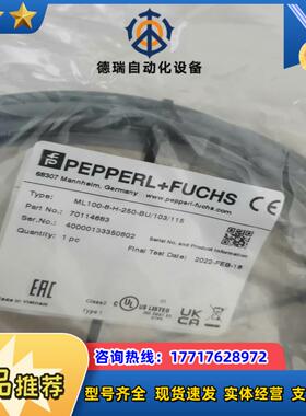 P+F倍加福ML100-8-H-250-BU103115议价