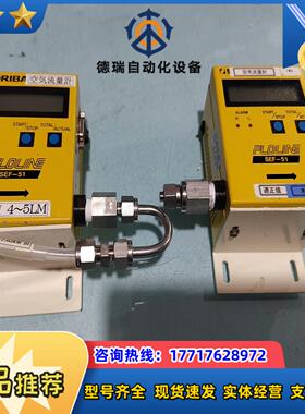 FLOLINE SEF-51气体计 10SLM 议价