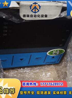 东辉仪表DY2000议价