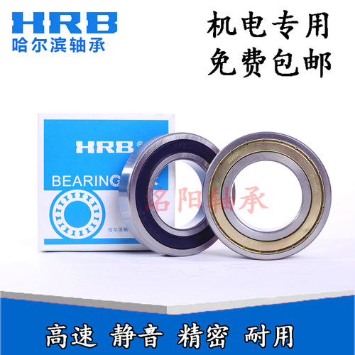 哈尔滨高速电机专用深沟球轴承6216 6217 6218 6219 6220ZZ RZ/RS - 封面