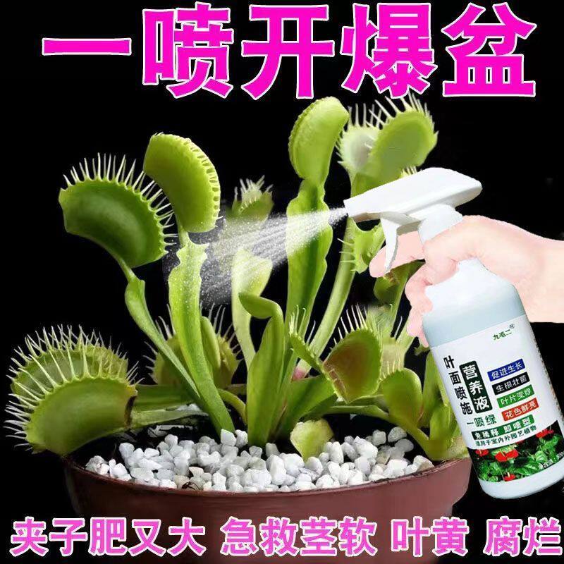 捕蝇草营养液夹子发黑发黄根部枯萎促生长壮根专用肥免稀释