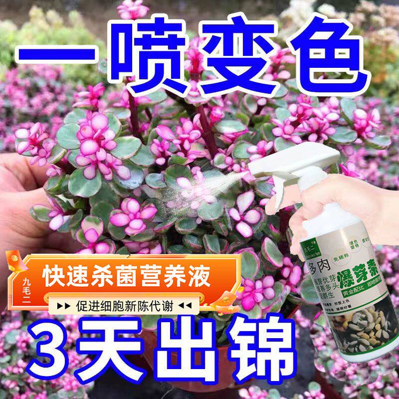 专用】金枝玉叶变色药多肉出锦药水专用营养液催锦增色变色剂