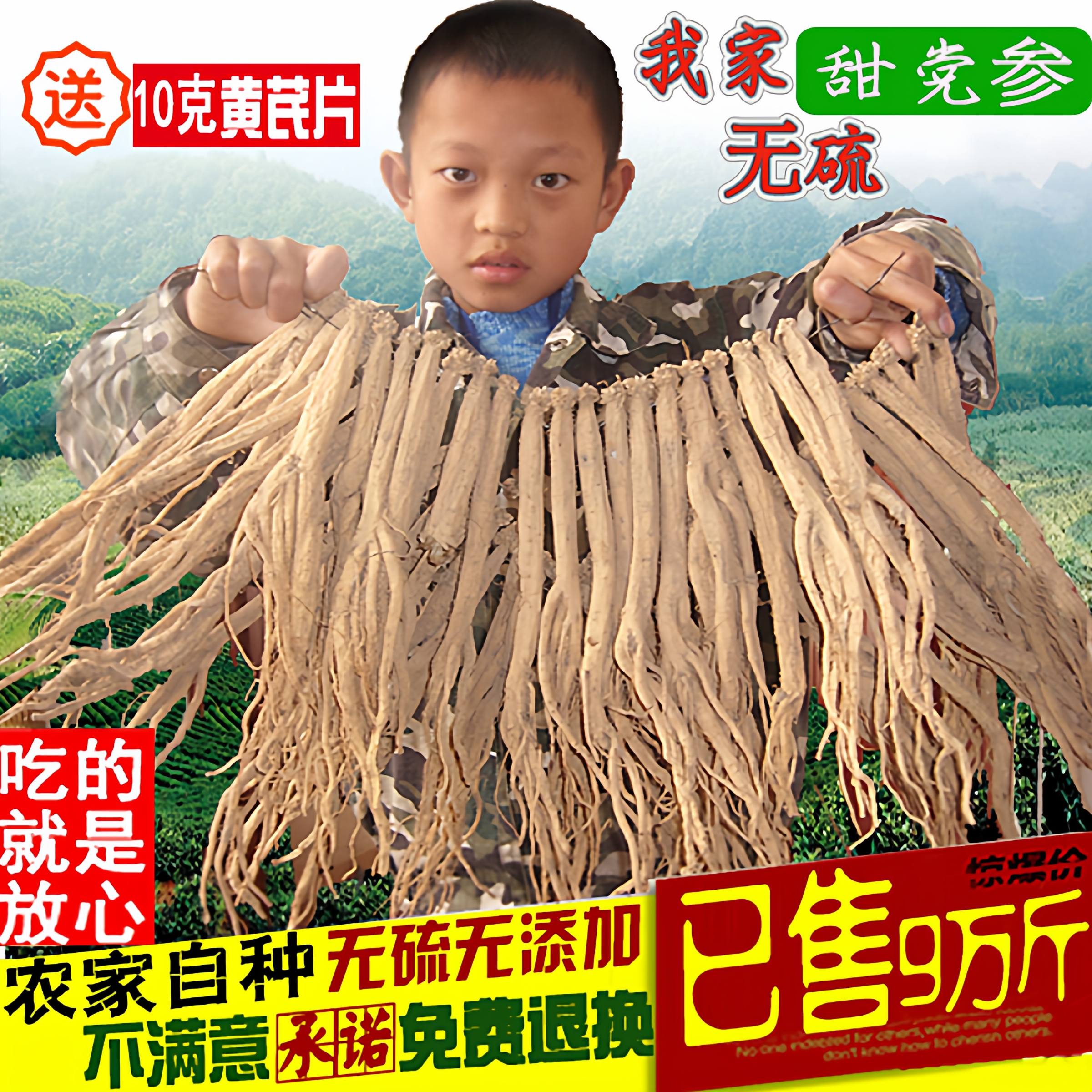 甘肃党参特级滋补无硫500g甘甜参