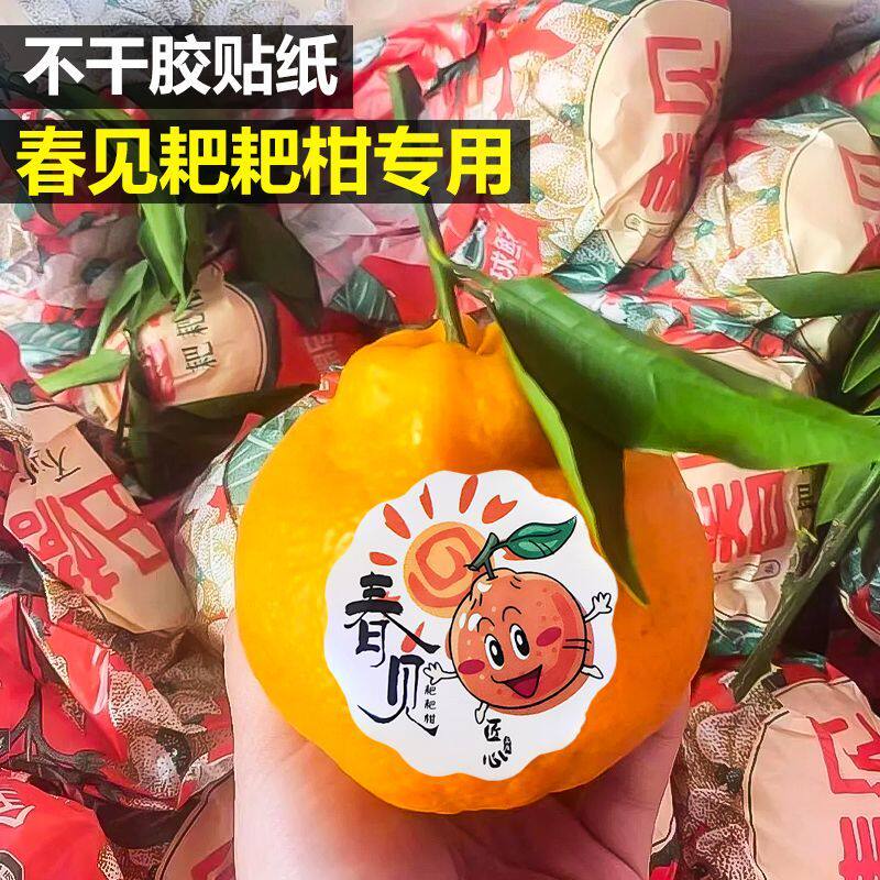 春见耙耙柑标签贴纸通用四川丑橘果冻橙沃柑橙子一次性不干胶贴