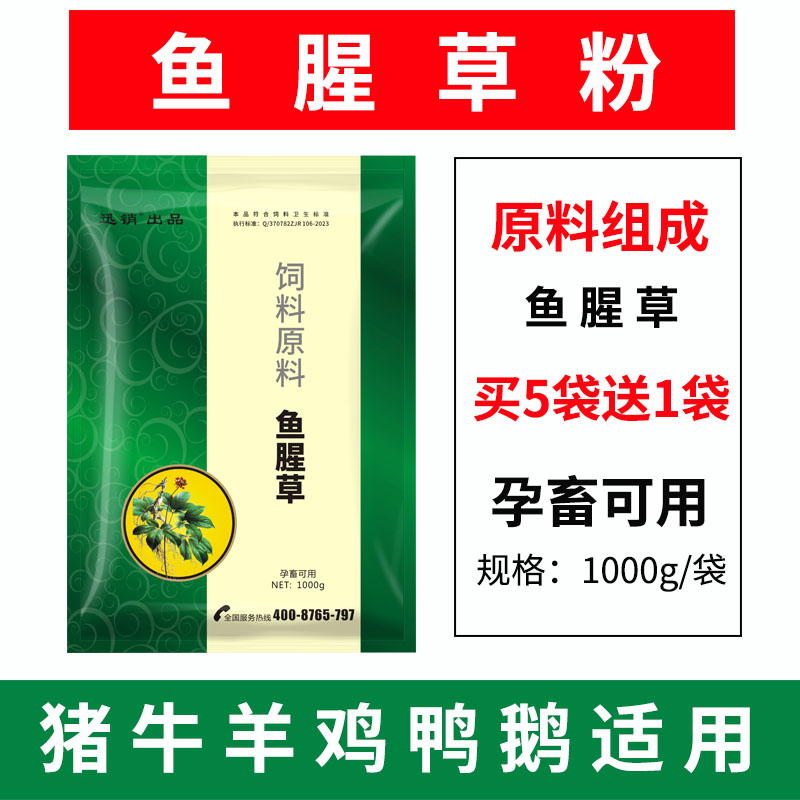 鱼腥草兽用鱼腥草粉末鸡鸭鹅牛羊猪孕畜可用饲料原料鱼腥草散