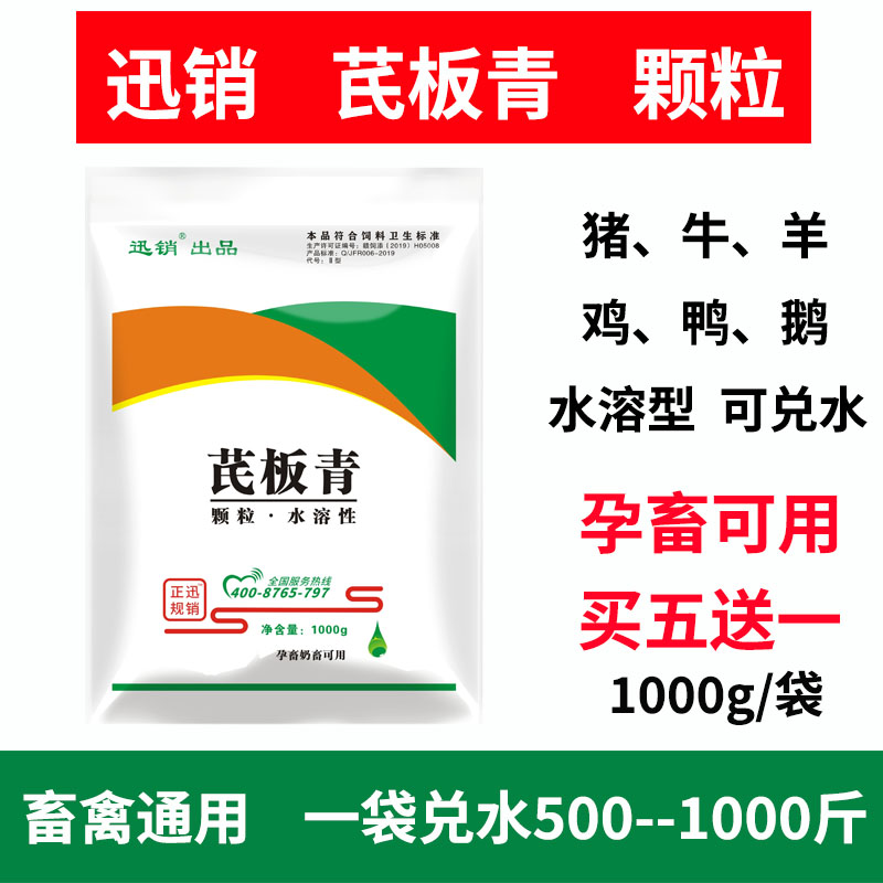 迅销芪板青颗粒兽用猪牛羊马鸡鸭鹅鸽孕畜可以饲料原料 1000g/袋