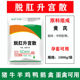 脱肛升宫散兽用饲料添加剂母猪牛羊蛋鸡鸭鹅畜禽孕畜可用黄芪粉剂