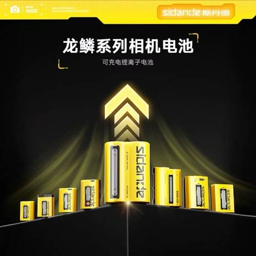 斯丹德龙鳞电池E6P佳能相机电池