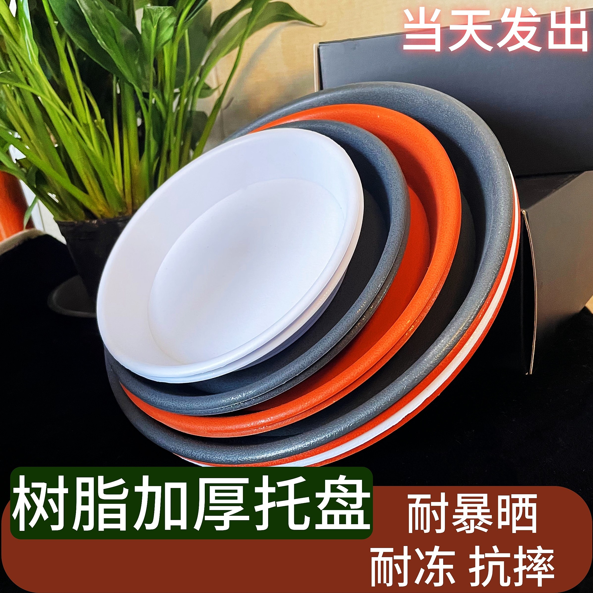 花盆托盘加厚树脂塑料垫花盆托底座垫底圆形接水盘花盆托多肉大号,鲜花速递/花卉仿真/绿植园艺,花托/移动托盘,淘宝优惠券,粉丝福利购,淘宝优惠卷