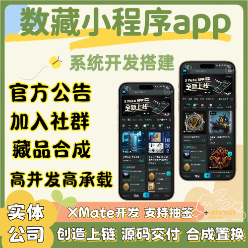 智探数1藏2/xmate平台开发蚂蚁数/i藏ibox数3藏app搭建源码部署