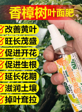 香樟树专用肥料盆栽香樟树苗营养液种植促进开花促进结果叶面肥料