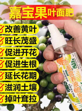 嘉宝果树专用肥料盆栽种植嘉宝果苗营养液叶面肥颗粒浓缩有机肥料