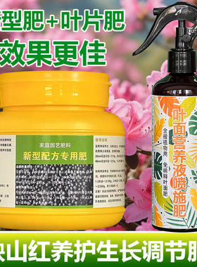 映山红专用肥料养殖盆栽杜鹃花树苗盆景专用土养护营养液叶面肥料