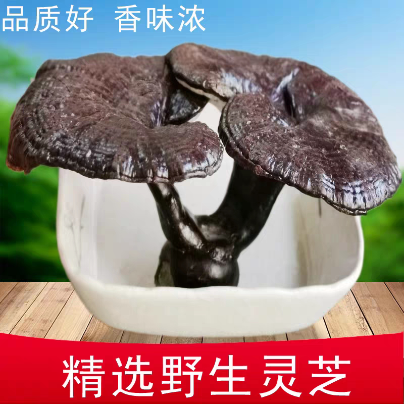 中药材灵芝 野生灵芝整朵干货 天然紫灵芝黑灵芝正品250g包邮