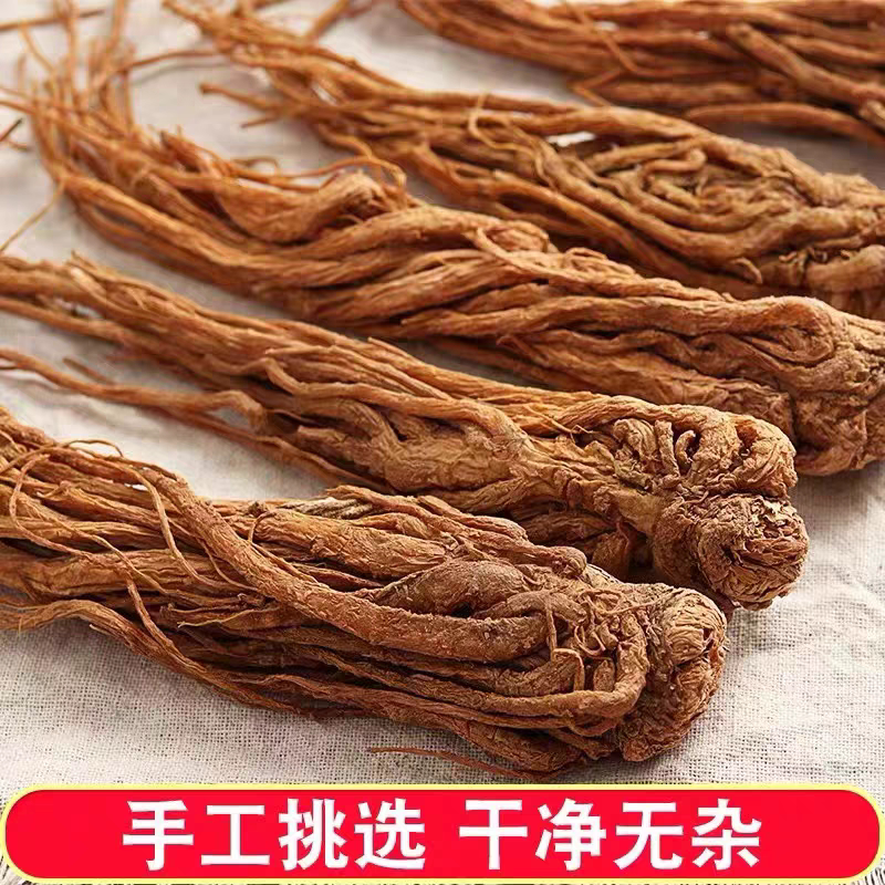 甘肃岷县野生当归中药材当归条深山采挖自然晾晒