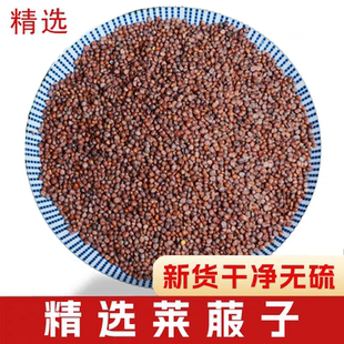 中药材莱菔子莱菔子茶 萝卜籽萝卜子另售炒莱菔子来菔子白芥子