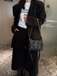 同丰女包小hobo链条单肩斜挎绣线