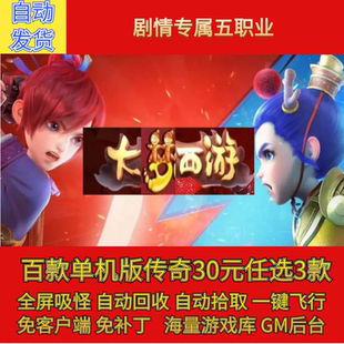 传奇电脑单机版西游五职业梦幻剧情专属法宝宠物假人gm微端联机网
