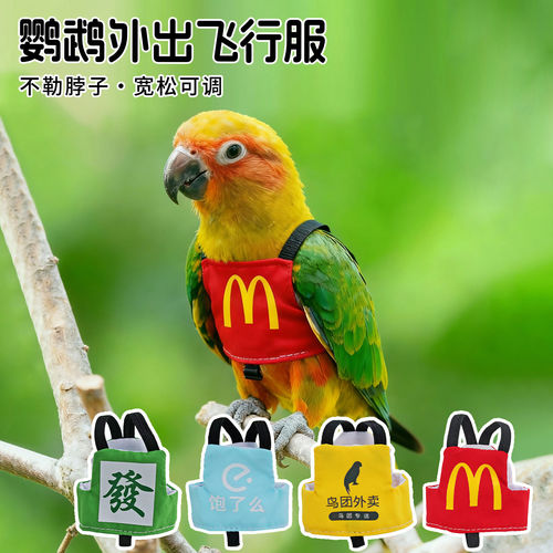 鹦鹉专用衣服背带放飞绳牵引绳外出飞行服遛鸟神器牡丹玄风虎皮
