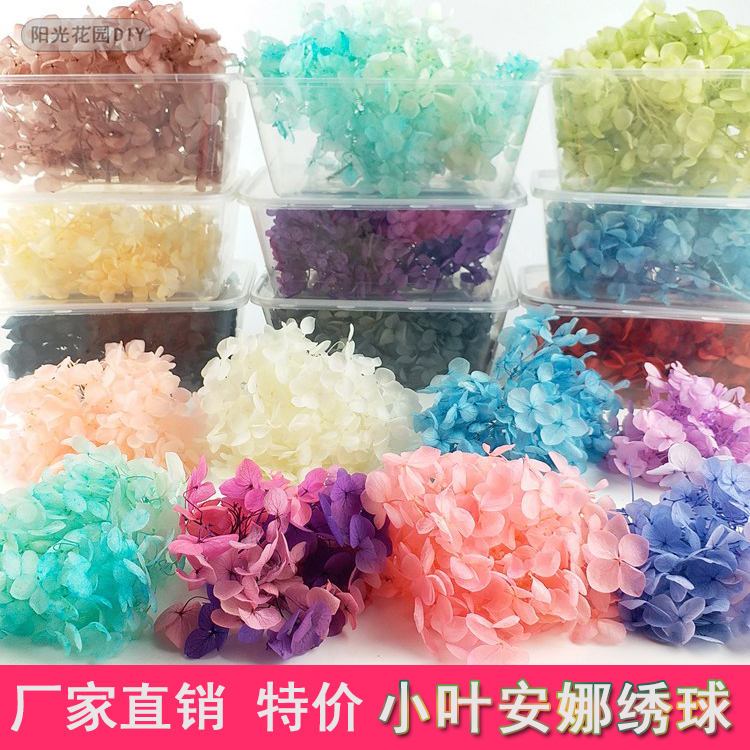 永生花DIY 特价小叶安娜绣球多色 保鲜花玫瑰花永生花材厂家直销