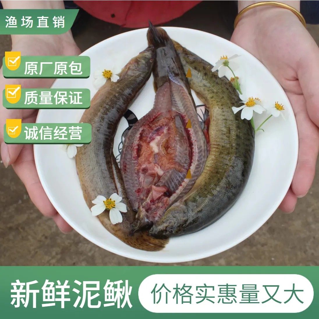 泥鳅淡水活鱼大板鳅活体鱼青鳅黄鳅鱼现杀滋补炖汤老人补钙养生,宠物/宠物食品及用品,鱼,淘宝优惠券,粉丝福利购,淘宝优惠卷