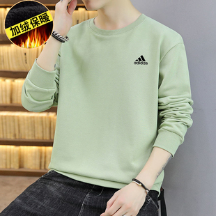 上衣 圆领套头衫 阿迪达斯淡绿色男子卫衣秋季 加绒保暖运动休闲长袖