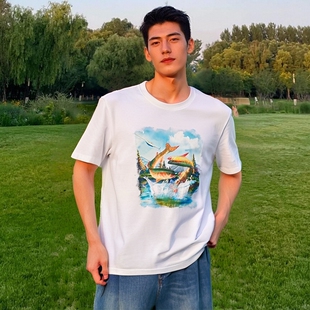 Jordan乔丹钓鱼印花短袖男宽松五分袖纯棉运动T恤夏季新款AJ上衣