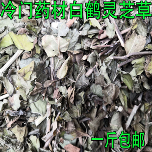 野生无硫草药白鹤灵芝癣草仙草广西白鹤灵芝草干品货 500克包邮