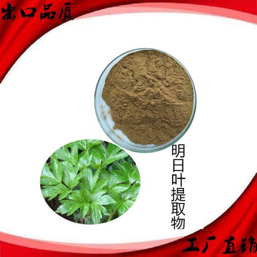 明日叶提取物长寿草萃取精华纯粉