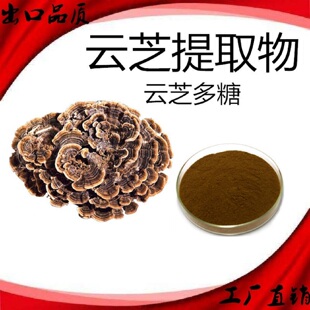 云芝提取物 抗癌云芝多糖70%云芝糖肽40%食用菌粉 云芝萃取精华粉