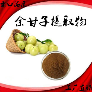 余甘子提取物 余甘子浓缩粉 橄榄果提取物  余甘子青果萃取精华粉