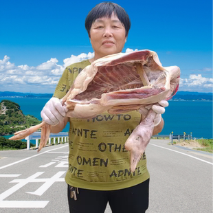 老鹅溧阳咸鹅天目湖农家散养 生鲜肉腌制非风干安徽茅山特产包邮