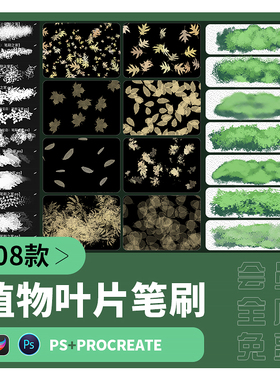 树叶飘落procreate笔刷ps画笔植物枫叶花朵叶子森林树木插画落叶