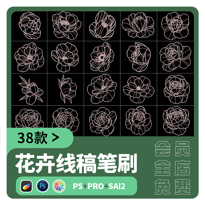 sai2笔刷procreate花朵植物花卉玫瑰鲜花辅助线稿PNG图案ps素材