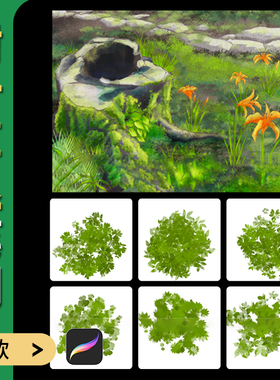 Procreate笔刷自然植物树叶草地草丛景观叶子园林设计树木纹理