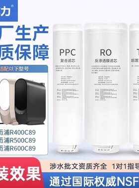 中芯力适用惠而浦净水器R400C89/R500C89/R600C89/R400CA1滤芯