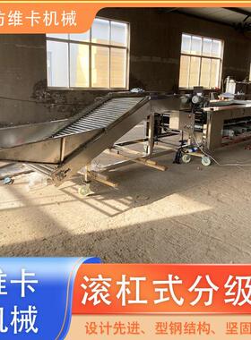 水果大小分级机脆红李蜂糖李沃柑直径分级机果蔬分选机厂家直销