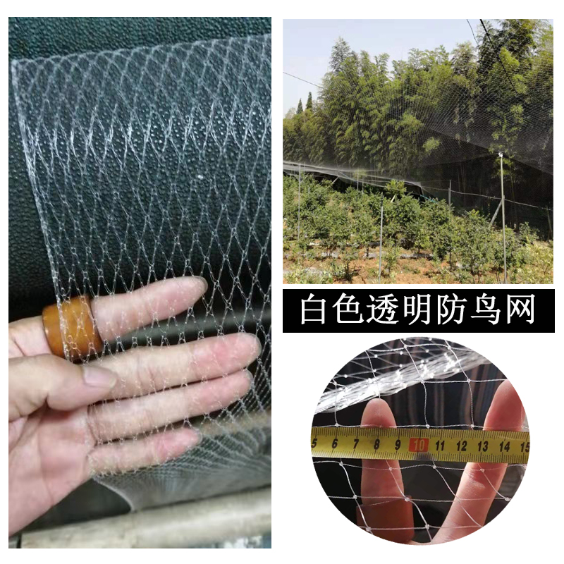 园艺挤出网果树防鸟网阳台多肉防护网葡萄樱桃果园保护用 网眼2cm|ruв категории доставка цветов/цветок моделирования/растения садоводства, садовых принадлежностей, других садовых принадлежностей - от Buy2taobao.com для оказания профессиональной услуги покупки агента Taobao
