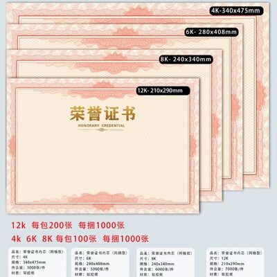 烫金网格荣誉证书聘书奖状定制