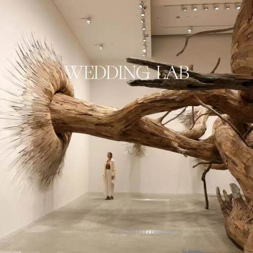 白色布艺蝴蝶造型婚庆绢花