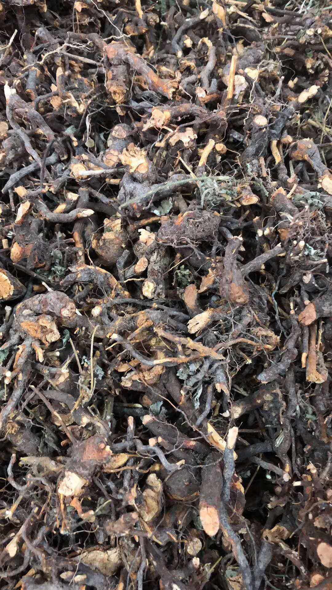 野生三月泡 刺菠根 虎姆刺 五月泡 刺葫芦 茅莓根 红梅消根500克