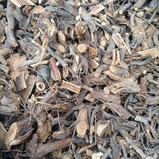 潮汕青草药根空壳刺根 空心刺根 中药材康壳刺 康心刺根纯根500克