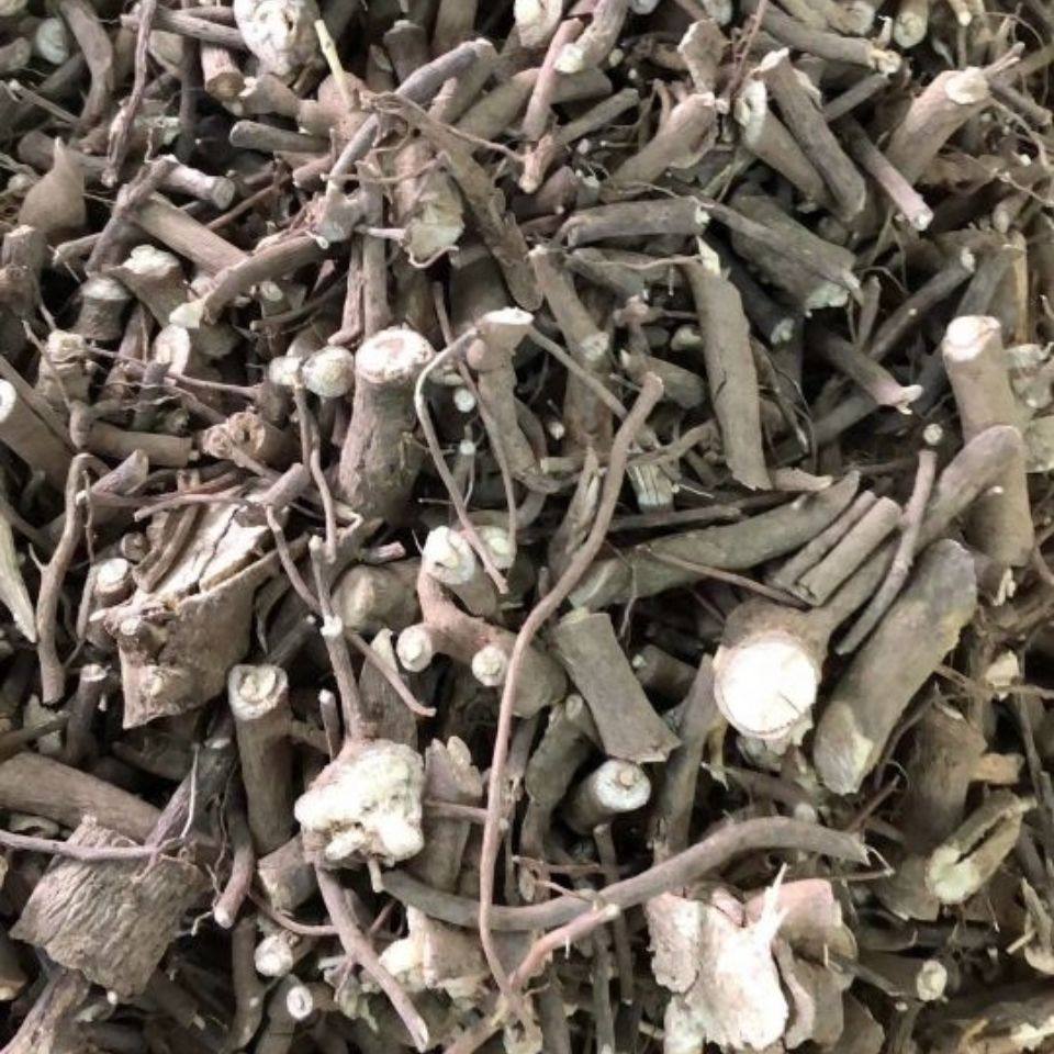 中药材 娘伞树 马胎根 娘伞仔 矮脚浪伞 铁凉伞 小凉伞 500g包邮