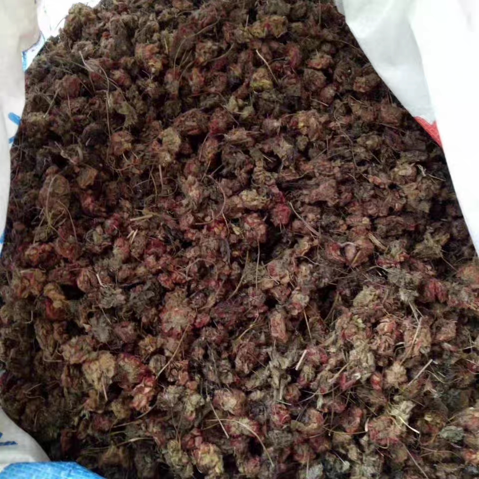 中药材锦地罗 怎地罗 文钱红 金线吊芙蓉 落地金钱金钱花新货晒干