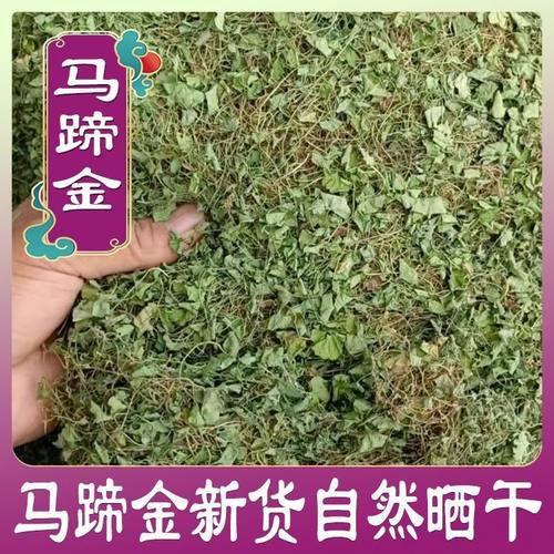 马蹄金正品中药材马蹄金荷包草黄胆草小金钱草螺草小马蹄草500克